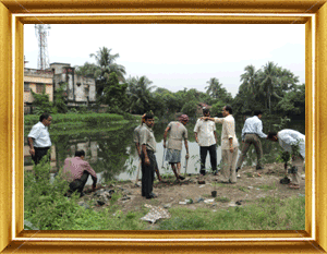 plantation